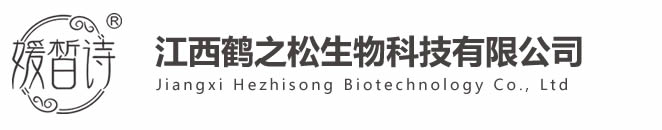 ������֮������Ƽ����޹�˾logo